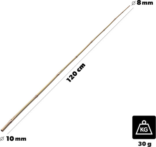 Kadax Araci Din Bambus Pentru Grădină 120 Cm X 8–10 Mm 10 Bucăți