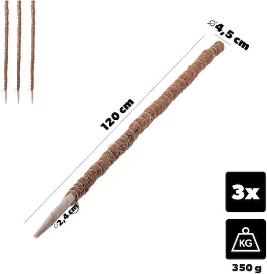 Kadax Coconut Plant Stake Pot Support 120 Cm 3 Pcs