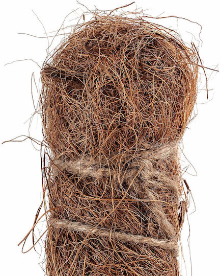 Kadax Coconut Plant Stake Pot Support 120 Cm 1 Pc