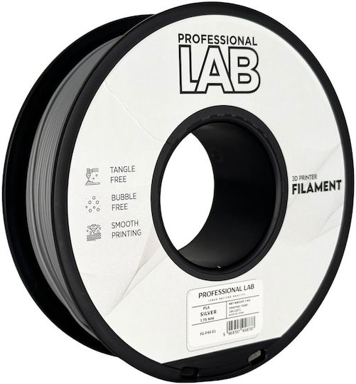 Pla Filament 3d Printer Professional Lab 1 Kg 1.75 Mm Silver Gray