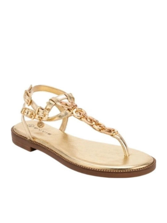 Envie Shoes Envie Shoes