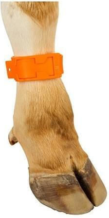Plastic Cow Foot Marking Tape