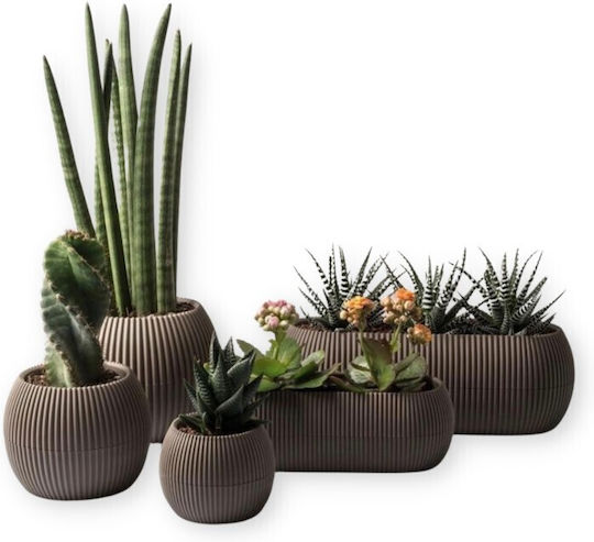 Viosarp Coral Plastic Flower Pot Brown