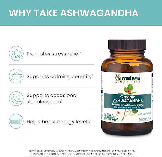Himalaya Wellness Organic 670mg 60 κάψουλες