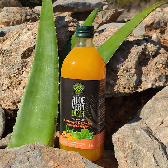 Aloe Vera Earth Алое 1000мл Turmeric & Ginger