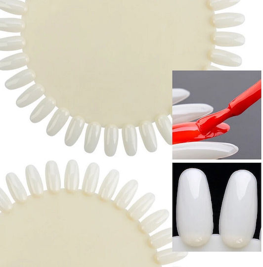 Nail Sample Book 36 Positions Oval Natural