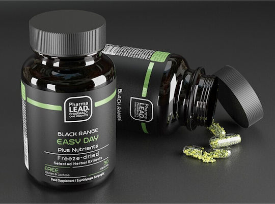 Pharmalead Easy Day Plus 30 κάψουλες Elderberry