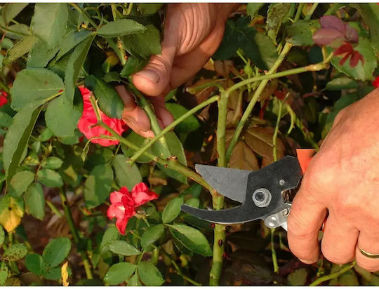 Verk Group Pruning Shear Length 16.5cm