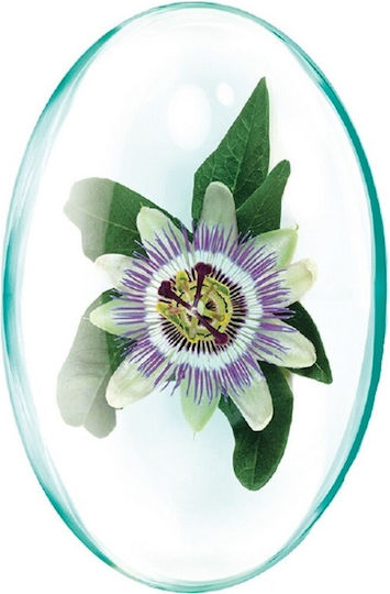 Rotta Natura 30 capace