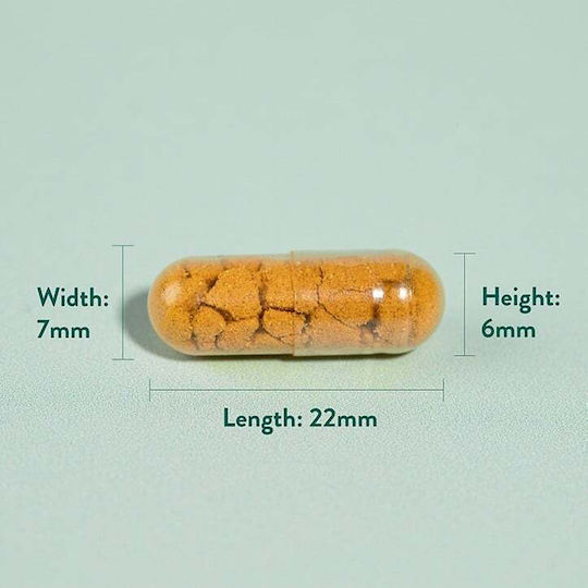 Holland & Barrett High Strength Turmeric 600мг 90 капси