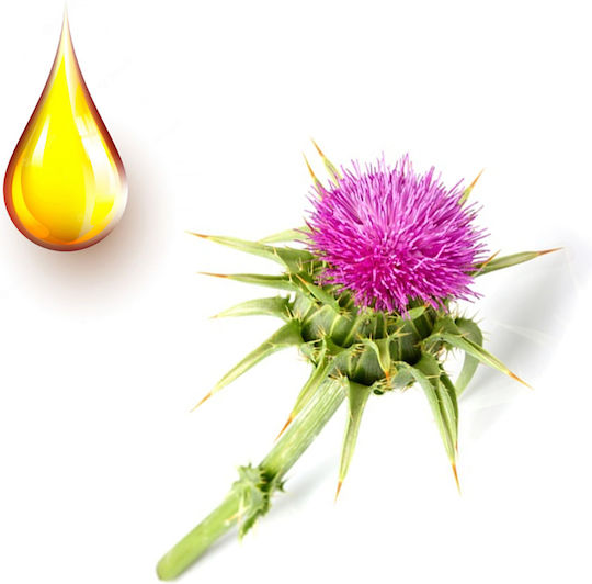Alexopoulos Mpacharika-Votana & Tsai Tincture Milk Thistle Tincture 100ml