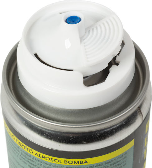 Spray de Curățare pentru Aer Condiționat Auto cu Parfum Proaspăt 100ml
