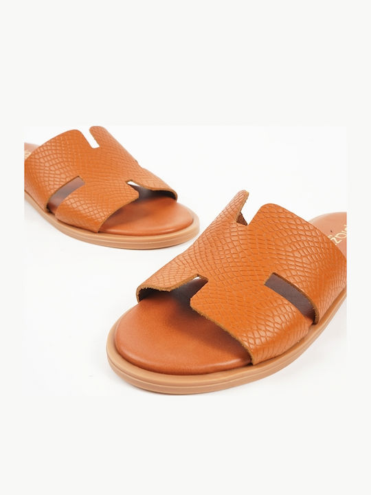 Piazza Shoes