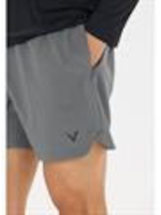 Sport Herren Shorts Grau