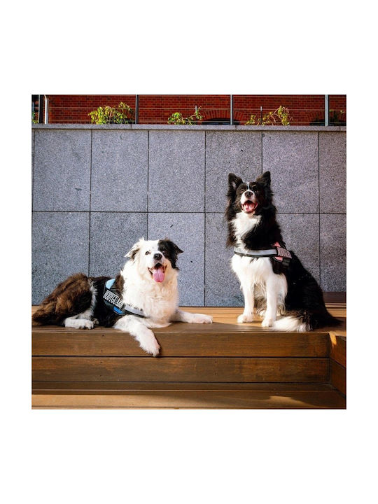 Bodyguard Hundegeschirr Rosa M 55-70 cm