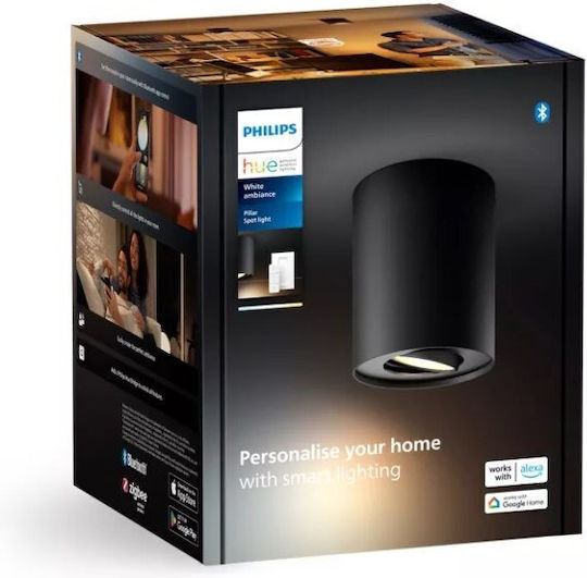 Philips Pillar Monospot in Schwarzes Farbe