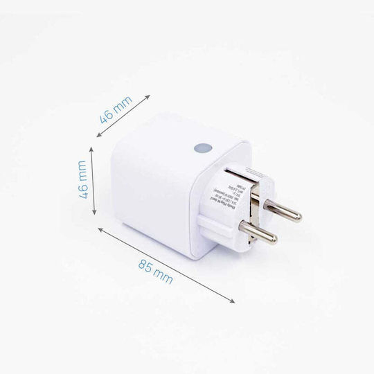 Shelly Single Socket 10 Pieces