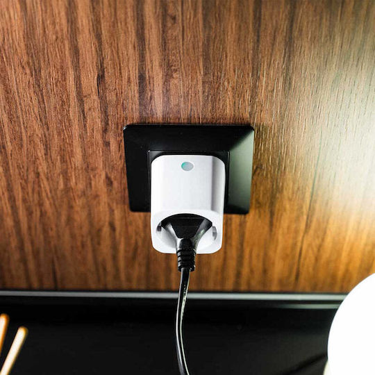 Shelly Single Socket 10 Pieces