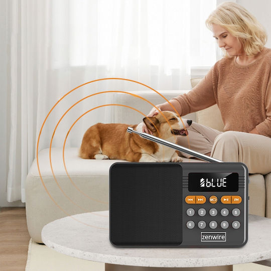 Zenwire 8743983 Φορητό Ραδιόφωνο Επαναφορτιζόμενο με Bluetooth και USB Μαύρο