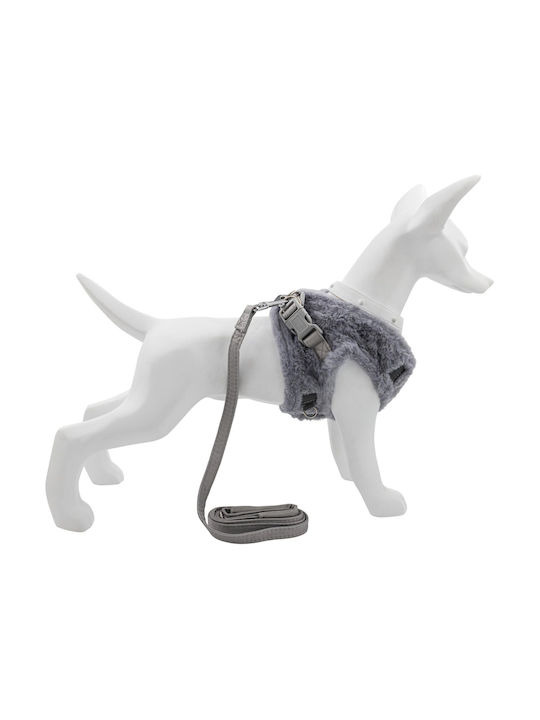 Set Harness + Leash Dog Cat Gray Polyester Size S Insulated Set Harness + Leash Dog Cat Gray Polyester Size S Insulated