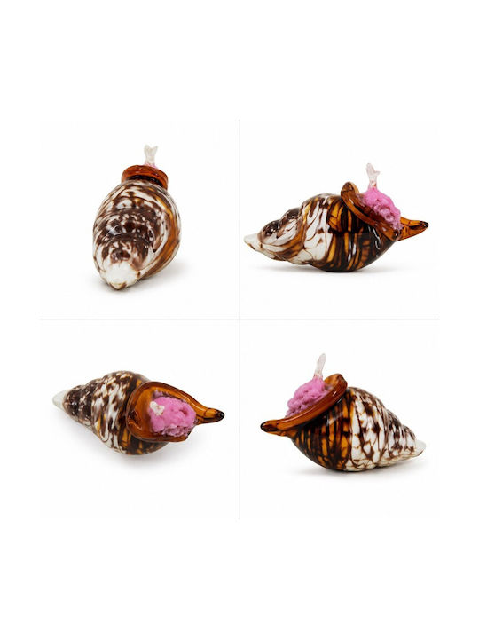 Decorative Crystal Murano Multicolored Seashell 21x12x11cm Galifas 7900712 Galifas