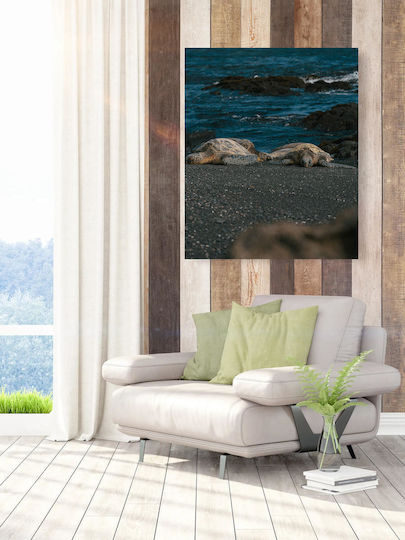 Painting Sea Turtles On Rocky Shore Marine Turtles On The Rocky Shore 70x100