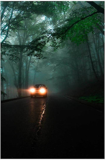 Painting Car On A Foggy Forest Road Car On A Foggy Forest Road 40x65