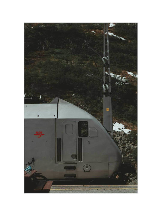 Panou Train În Peisaj Montan Tren În Peisajul Montan 100x150