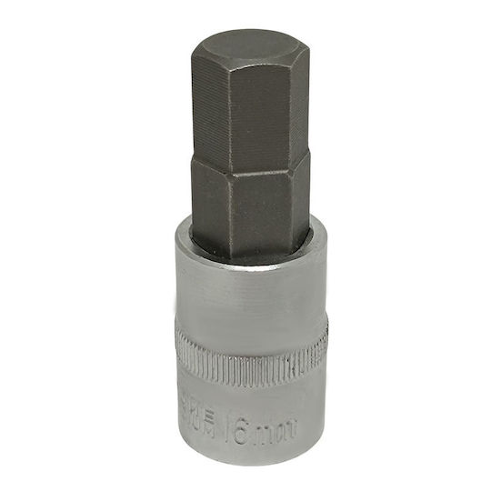 Walnut with Allen Head and Socket 1/2'' Size H16 1pcs