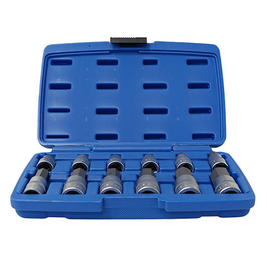 SKS Tools Καρυδάκια με Μύτες Allen και Καρέ Υποδοχής 1/2'' Σετ 12τμχ
