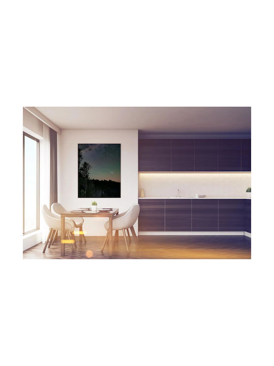 Panou Cerul Nocturn Stele Copaci 70x100