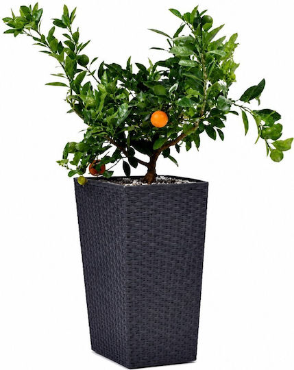Keter Rattan Planter Γλάστρα Πλαστική Gray
