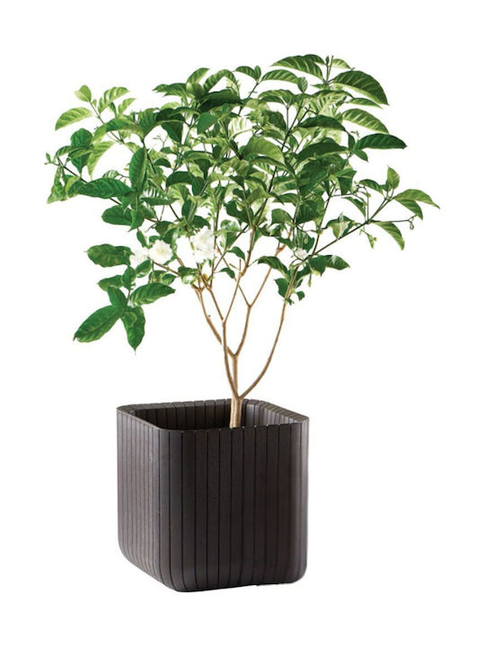Blumentopf Würfel Pflanzgefäß M Braun