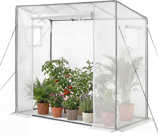 Vevor Vevor Greenhouse Type House with Metallic Frame 1.95x0.77x1.68m