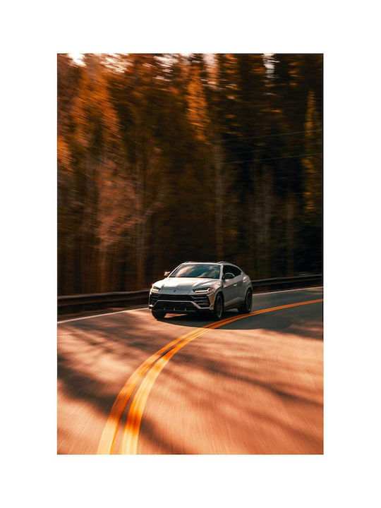 Панел Sport Car On Winding Road Спортно Автомобил Път С Завои 100x150