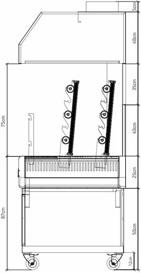 Biokan LGΗ64 Grătar la proțap Cărbune cu Dimensiuni 81x160x200cm