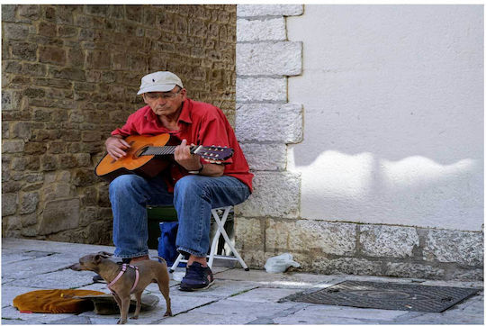 Painting Street Musician Dog Street Musician Dog 100x70