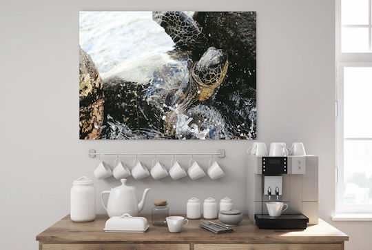 Πίνακας Sea Turtle At Shore Θαλάσσια Χελώνα Στην Ακτή 150x100
