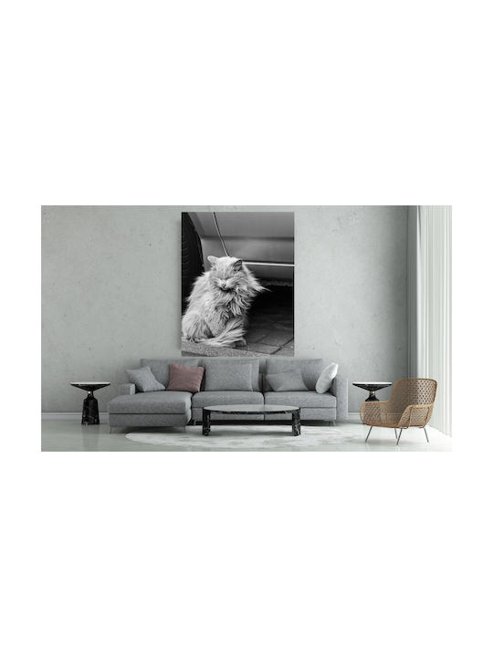 Πίνακας Black White Cat Sitting By A Car Ασπρόμαυρη Γάτα Κάθεται Δίπλα Ένα Αυτοκίνητο 60x90