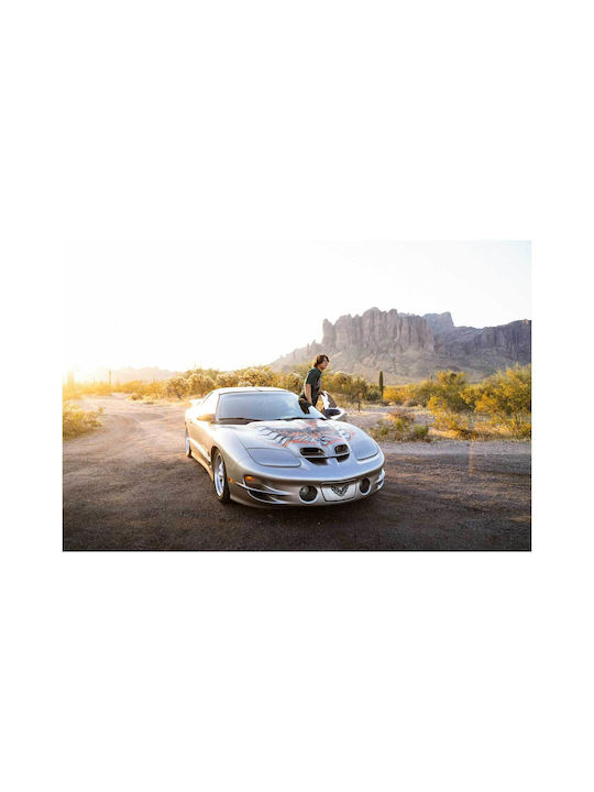 Painting Man Sports Car At Sunset In Desert 90x60
