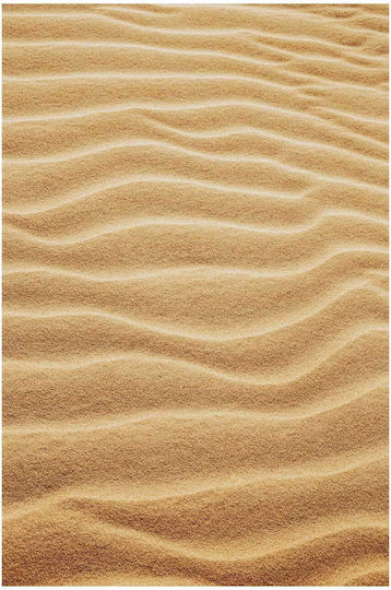 Πίνακας Sandy Waves Sandy Waves 115x170
