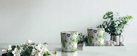 Aura Glass Lumânare Aromatică Verde
