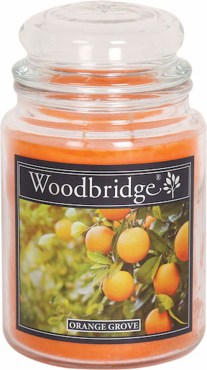 Relaxdays Aromatisches Kerze mit Parfüm Orange 17x10cm