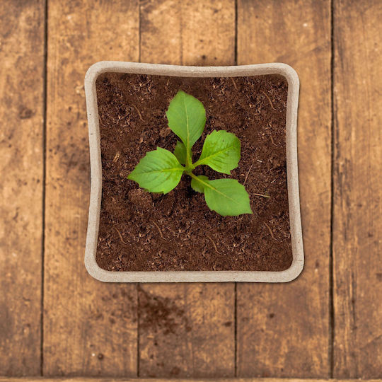 Relaxdays Beige Flower Pot 8x8x8cm