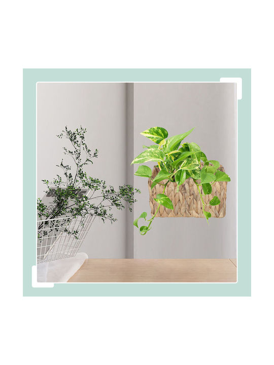 Relaxdays Beige Flower Pot 29x28x15cm