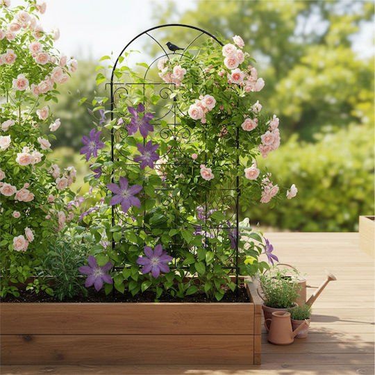 Set Suporturi Pentru Plante Cățătoare Relaxdays Negru 116x1x50 Cm