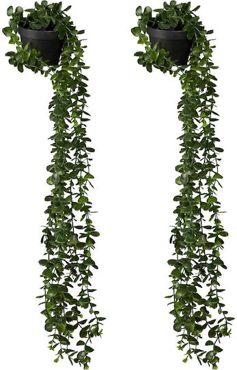 Set 2 Plante Artificiale Suspendate Relaxdays Verde Închis Negru 80x20cm Set 2 Plante Artificiale Suspendate Relaxdays Verde Închis Negru 80x20cm