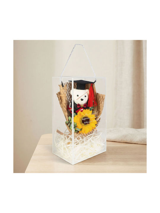 Graduation Gift Teddy Bear Sunflower In Transparent Box 26 × 10.5 × 14 Cm Decorative Gift Box
