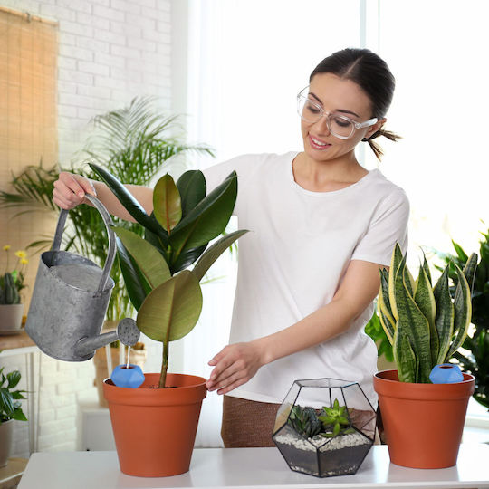 Set 4 Bile Ceramice De Udat Pentru Plante În Ghiveci
