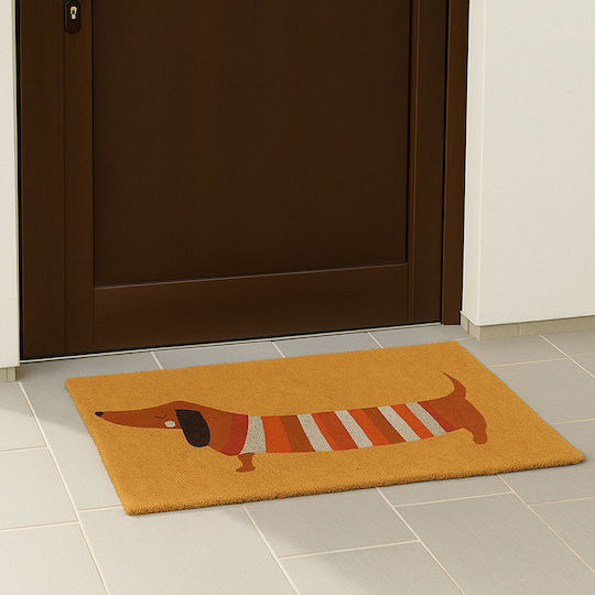 Relaxdays Relaxdays Fußmatte aus Kokosnuss Braun 40x60cm